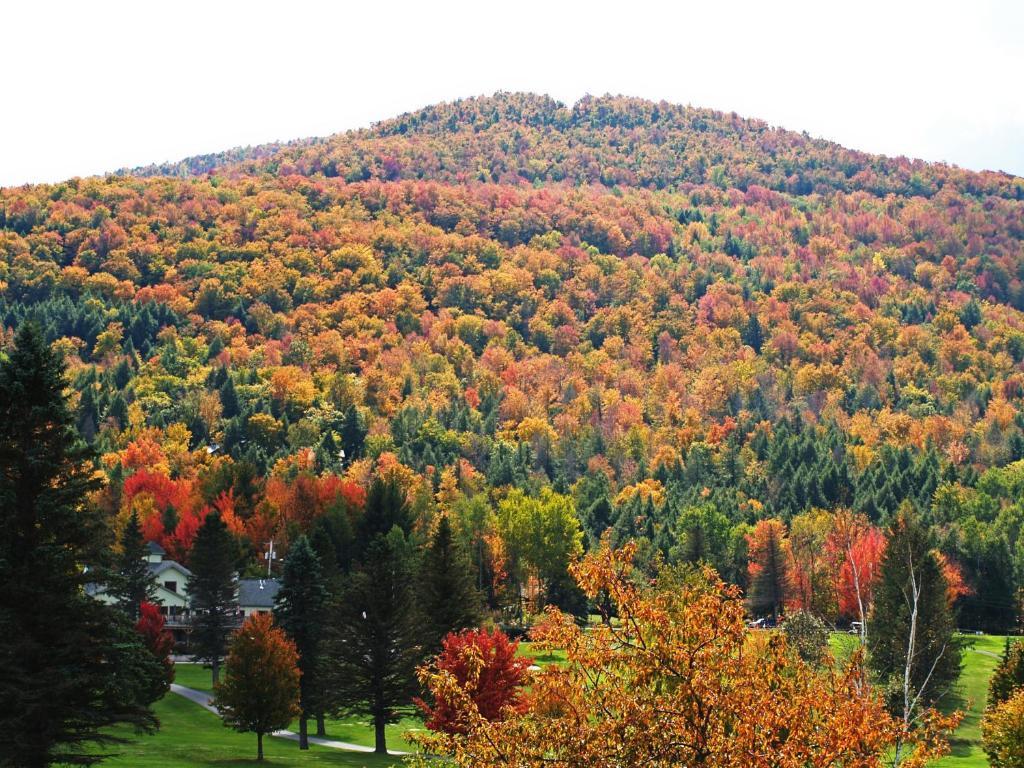 The Thompson House Hotel Windham Buitenkant foto